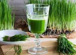 Wheatgrass